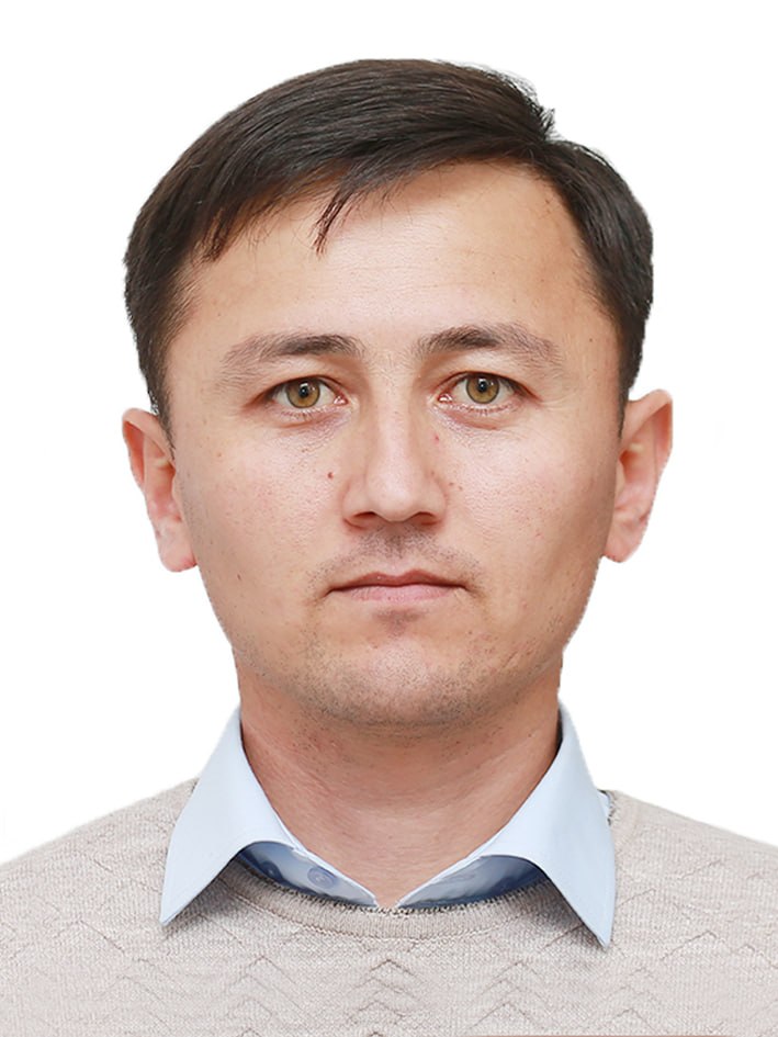 Markovian bo‘lmagan kvant Lanjevin yondashuvi doirasida ikki o‘lchamli materiallarda magnitlanganlik, galvanomagnit va galvano-dissipativ effektlar